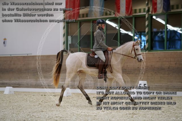 s_K3F02292.JPG